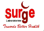 Strategic Partner 7